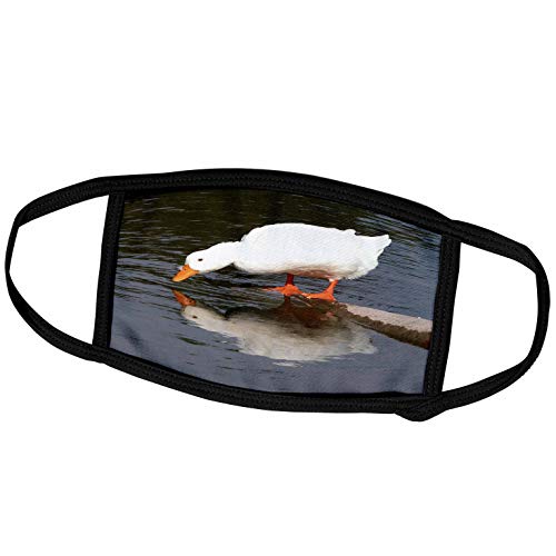 3dRose Beverly Turner Photography - Mirror Mirror, White Duck - Face Covers (...