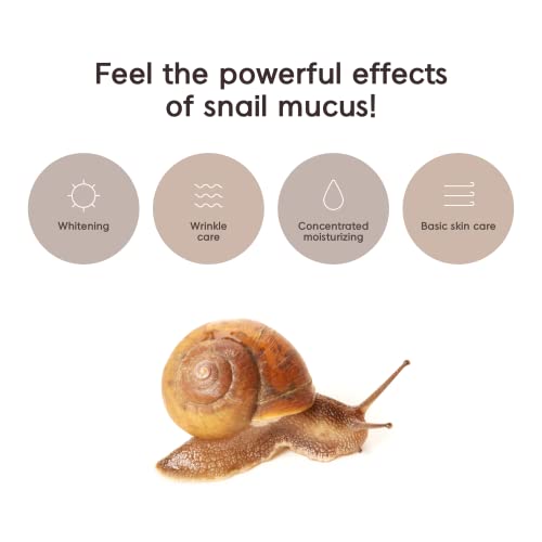 3W Clinic [3W CLINIC] GOLD & SNAIL Intensive Skin Care 4 Set Anti-Wrinkle Whi...