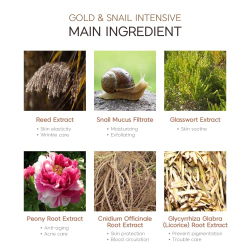 3W Clinic [3W CLINIC] GOLD & SNAIL Intensive Skin Care 4 Set Anti-Wrinkle Whi...