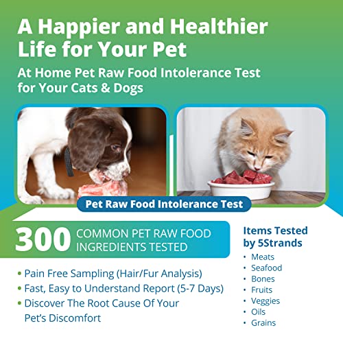 5Strands Pet Raw Food Intolerance Test, at Home Dog or Cat Hair Sample Collec...