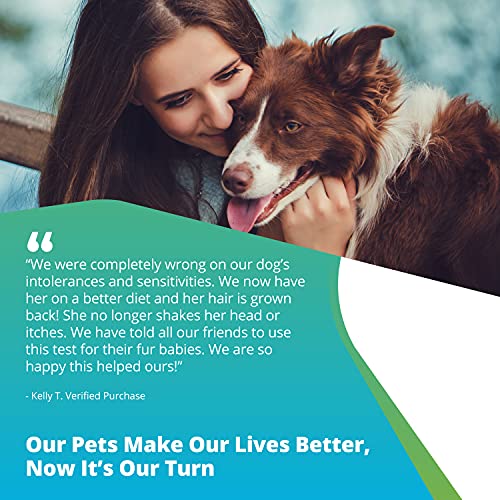 5Strands Pet Raw Food Intolerance Test, at Home Dog or Cat Hair Sample Collec...
