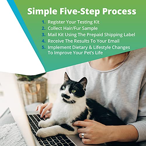 5Strands Pet Raw Food Intolerance Test, at Home Dog or Cat Hair Sample Collec...