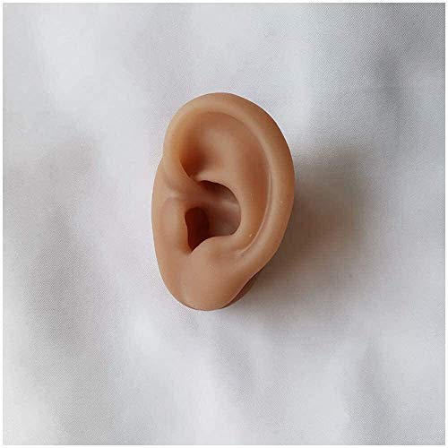 1 Pair of Highly Simulated Silicone Ear Models-Used for Acupuncture Practice ...