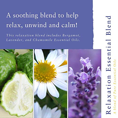 Absolute Aromas Relaxation Bath And Massage Oil 100Ml