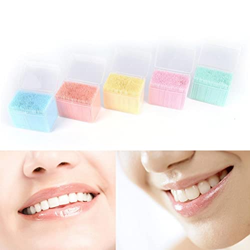 Acewen 1100 Pcs Disposable Plastic Toothpick Oral Cleaning Care Tooth Cleanin...