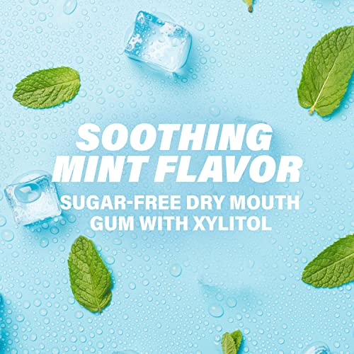 ACT Dry Mouth Moisturizing Gum, 20 Pieces, With Xylitol, Sugar Free Soothing ...