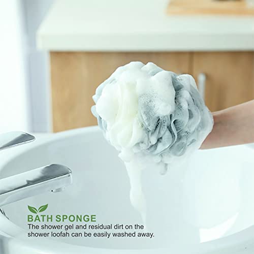 Dry Brushing Body Brush Set of 4, Bath Brush Long Handle for Shower, Natural ...