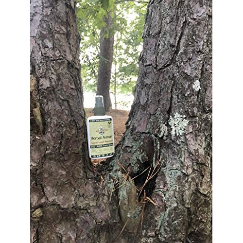 All Terrain Herbal Armor Natural Insect Repellent, DEET-FREE Pump Spray, 8 Ou...