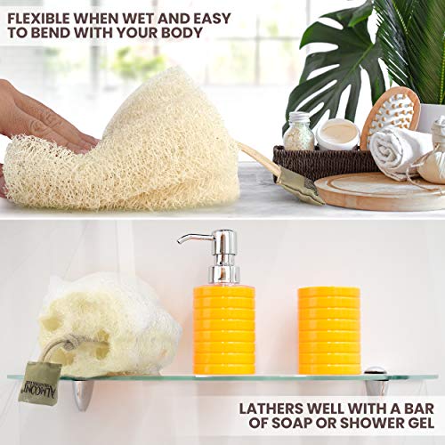 Natural Real Egyptian Shower Loofah Sponge Body Scrubber That Will Get You Cl...