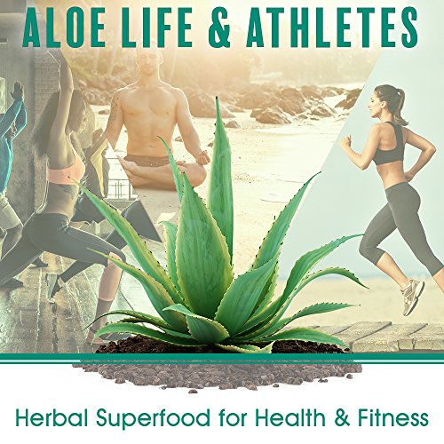 Aloe Life - Body Heat Vanilla Rub, Supports Penetrating, Lubricating Warming ...