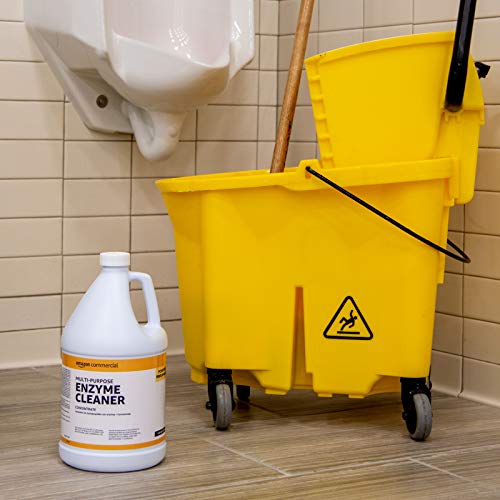 AmazonCommercial Multi-Purpose Enzyme Cleaner, 1-Gallon, 1-Pack