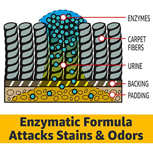 AmazonCommercial Multi-Purpose Enzyme Cleaner, 1-Gallon, 1-Pack