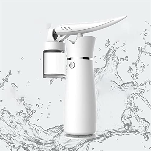 AMMZON Oxygen Injector, Nano Spray, Nano Facial Oxygen Sprayer High Pressure ...