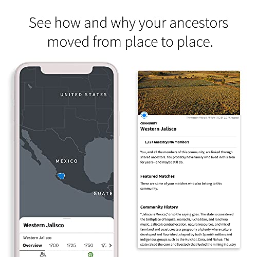 AncestryDNA: Genetic Ethnicity Test, Ethnicity Estimate, AncestryDNA Test Kit