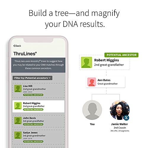 AncestryDNA: Genetic Ethnicity Test, Ethnicity Estimate, AncestryDNA Test Kit