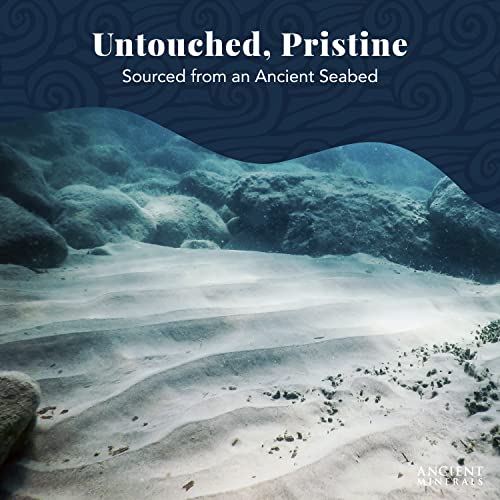 Ancient Minerals Magnesium Bath Flakes - Bathing Alternative to Epsom Salt - ...