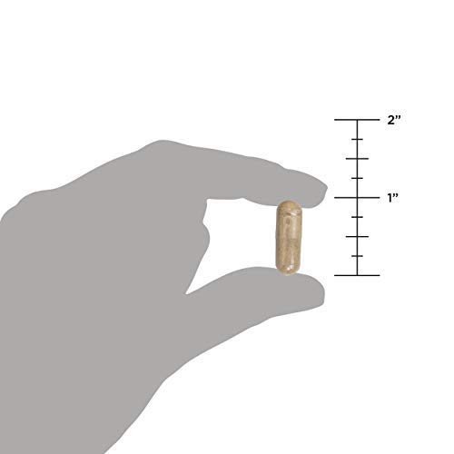 Multivitamin for Women by Ancient Nutrition, Ancient Multi Women's 40+ Once D...