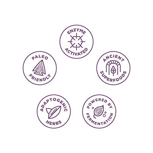 Multivitamin for Women by Ancient Nutrition, Ancient Multi Women's 40+ Once D...