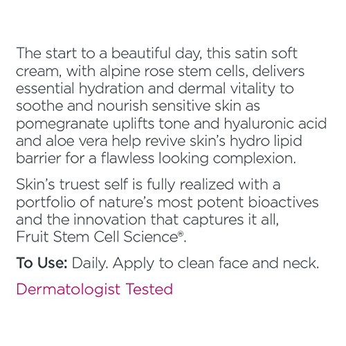 Andalou Naturals 1000 Roses Beautiful Day Cream, 1.7 Ounce