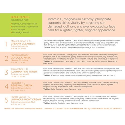 Andalou Naturals Get Started Skin Brightening Kit - 1 count