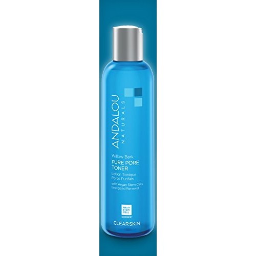 Andalou Naturals Toner Ounces, Willow Bark Pure Pore, 6 Fl Oz