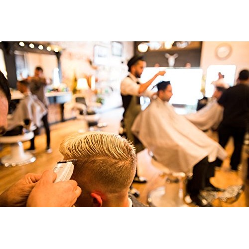 Andis 04710 Professional T-Outliner Beard/Hair Trimmer with T-Blade, Grey