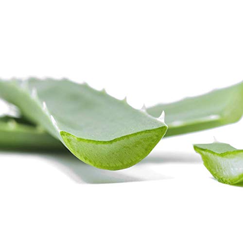 VEGAN Andmetics Brow Wax Strips for Thicker & Fuller Brows - Eyebrows - Hair ...