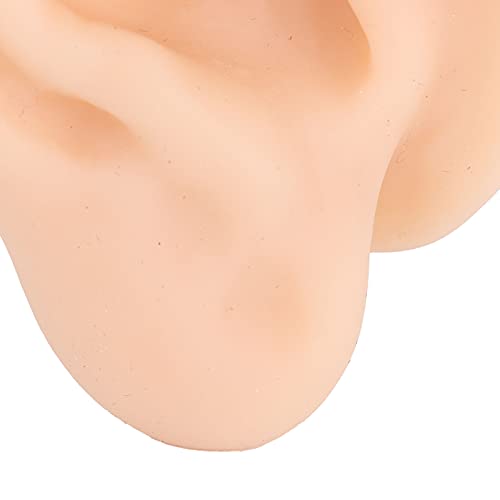 Andrew Practice Ear Model, Ear Acupuncture Model Simulated and Lifelike for H...