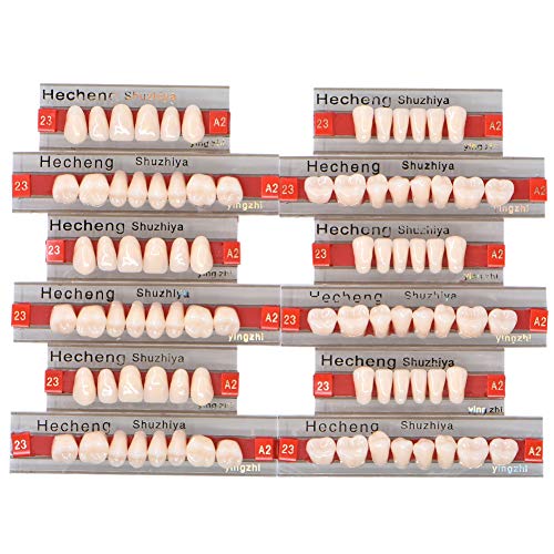 Angzhili 84 Pcs Dental Complete Acrylic Resin Denture False Teeth 3 Sets Synt...