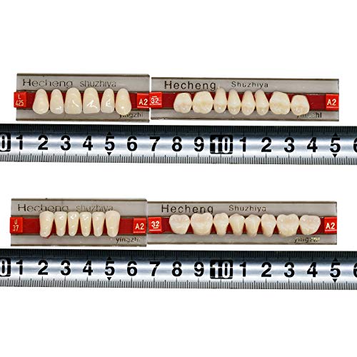 Angzhili 84 Pcs Dental Complete Acrylic Resin Denture False Teeth 3 Sets Synt...