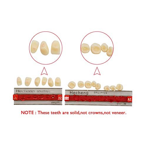 Angzhili 84 Pcs Dental Complete Acrylic Resin Denture False Teeth 3 Sets Synt...