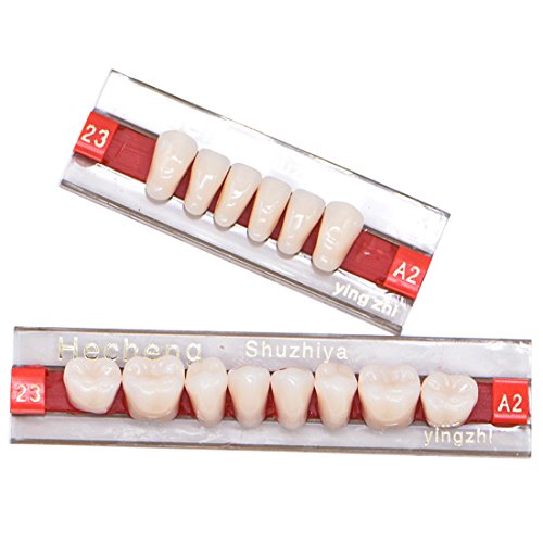 Angzhili 84 Pcs Dental Complete Acrylic Resin Denture False Teeth 3 Sets Synt...