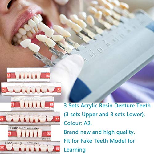 Angzhili 84 Pcs Dental Complete Acrylic Resin Denture False Teeth 3 Sets Synt...