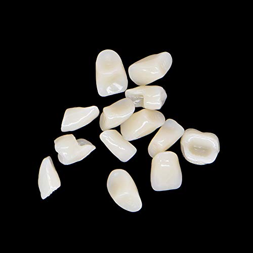Angzhili 84 Pcs Dental Complete Acrylic Resin Denture False Teeth 3 Sets Synt...
