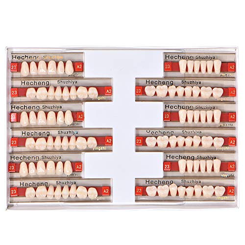 Angzhili 84 Pcs Dental Complete Acrylic Resin Denture False Teeth 3 Sets Synt...
