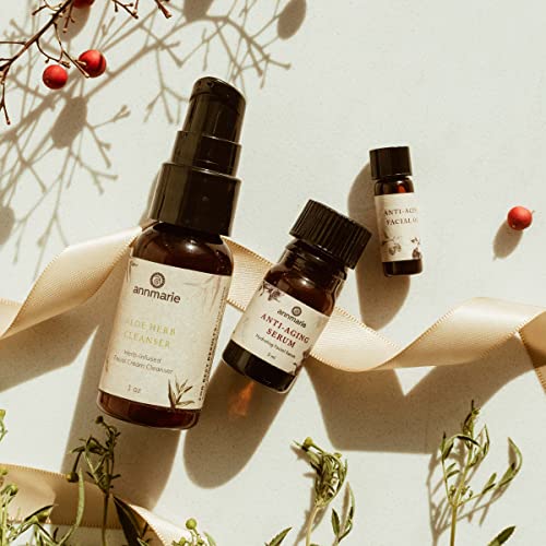 Annmarie Skin Care Clean Beauty Kit