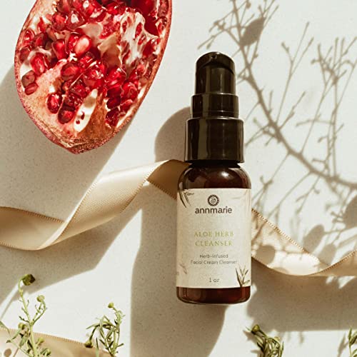 Annmarie Skin Care Clean Beauty Kit