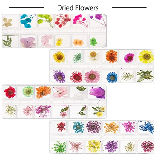 ANPHSIN 4 Boxes Dried Flowers Nail Art- 48 Colors Mini Natural Real Dry Flowe...