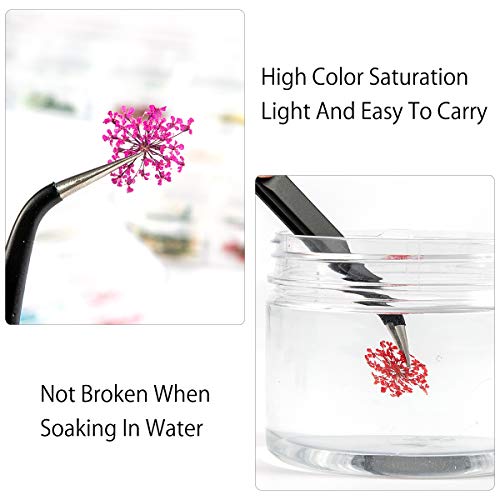 ANPHSIN 4 Boxes Dried Flowers Nail Art- 48 Colors Mini Natural Real Dry Flowe...