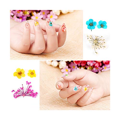 ANPHSIN 4 Boxes Dried Flowers Nail Art- 48 Colors Mini Natural Real Dry Flowe...