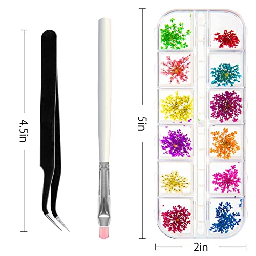 ANPHSIN 4 Boxes Dried Flowers Nail Art- 48 Colors Mini Natural Real Dry Flowe...