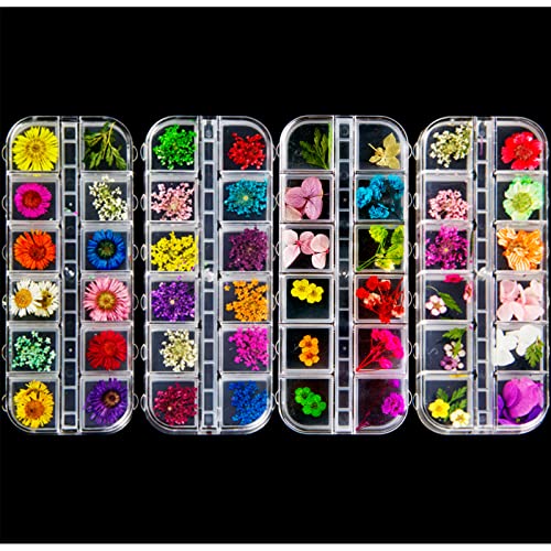 ANPHSIN 4 Boxes Dried Flowers Nail Art- 48 Colors Mini Natural Real Dry Flowe...