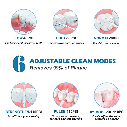 Water Flosser and Ultrasonic Electric Toothbrush Combo, 300ML Cordless Dental...