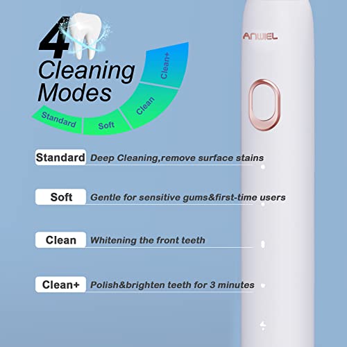 Water Flosser and Ultrasonic Electric Toothbrush Combo, 300ML Cordless Dental...