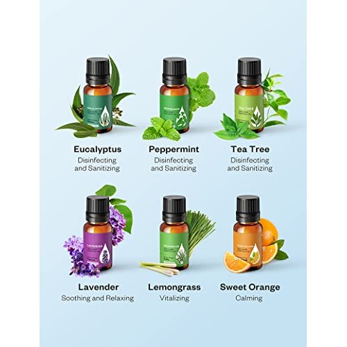 AOSNO Essential Oils Set Top 6*10 ml Essential Oils for Candle Making, Skin, ...