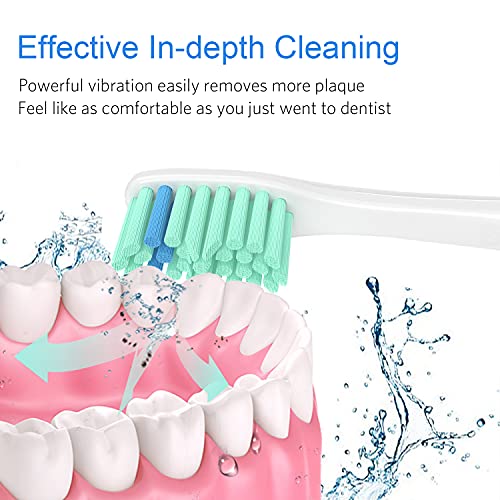 Replacement Toothbrush Heads Compatible with All Philips Sonicare Screw-on E-...