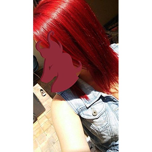 ARCTIC FOX Vegan and Cruelty-Free Semi-Permanent Hair Color Dye (4 Fl Oz, WRATH)