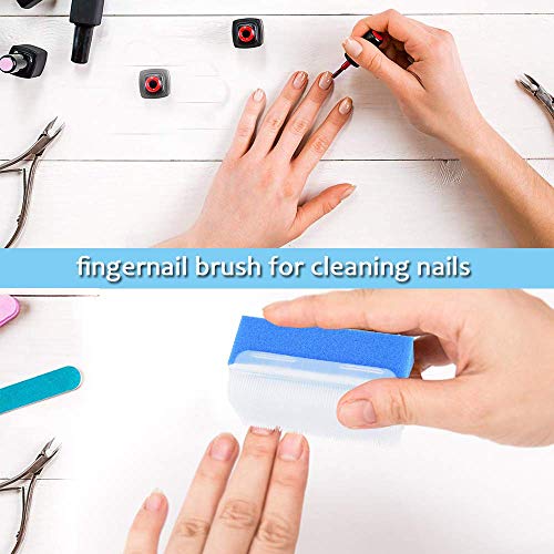 ARGOMAX - 6 Pack Bath & Body Hands Scrub Sponge Brushes