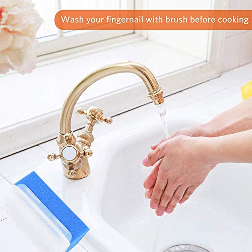 ARGOMAX - 6 Pack Bath & Body Hands Scrub Sponge Brushes