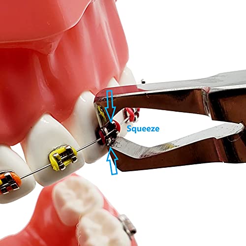 Bracket Removing Pliers Braces Removing Pliers Orthodontic Dental by Wise Lin...